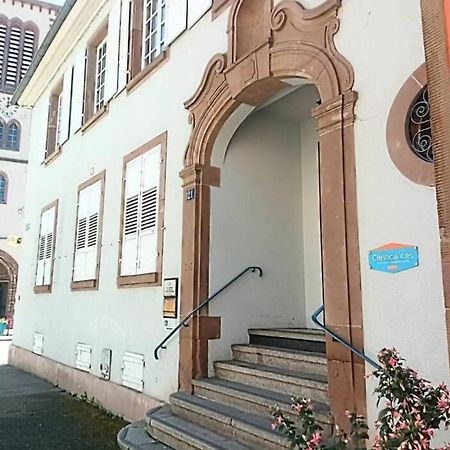 Apartament Un Petit Nid Atypique Au Coeur De Munster Munster  Zewnętrze zdjęcie