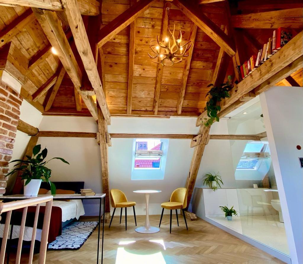 Apartament Un Petit Nid Atypique Au Coeur De Munster Munster  Zewnętrze zdjęcie